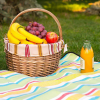 pled_dlya_piknika