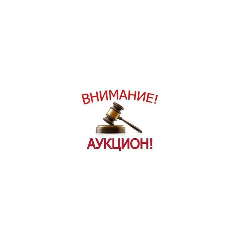 Фонд Антона Шипулина запускает аукцион!